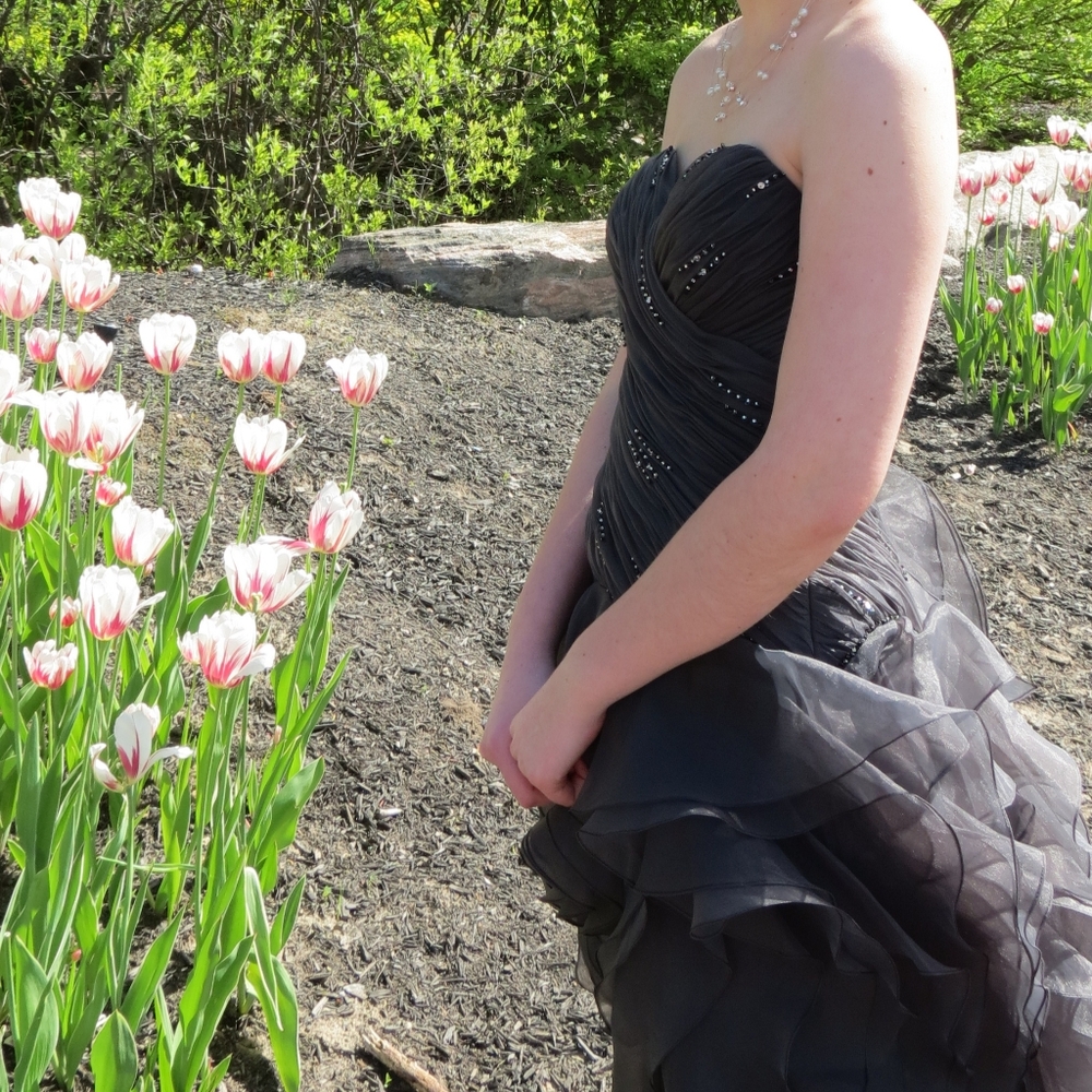 Prom Dress - Picture 2 of 15